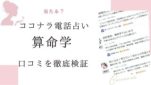 ココナラ電話占い算命学