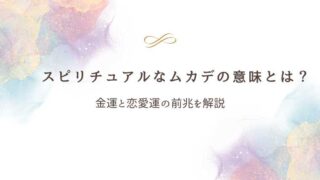 スピリチュアルなムカデ